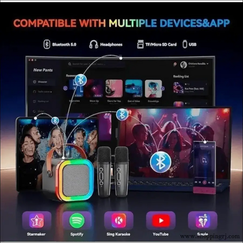 Magic Voice with Mic Bluetooth Speaker