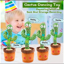 Dancing Oactus toy - toys - Shopping RJ Gadgets